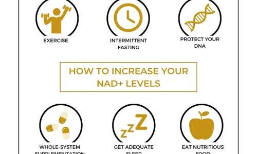 How to Increase NAD+ Levels Naturally